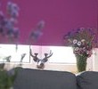 Odważnie i szlachetnie: purpura
